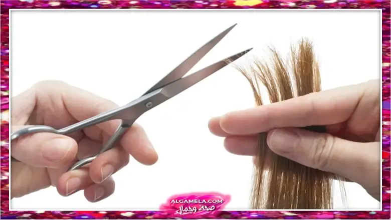 قصي شعرك وأطرافه بإنتظام قصي شعرك وأطرافه بإنتظام