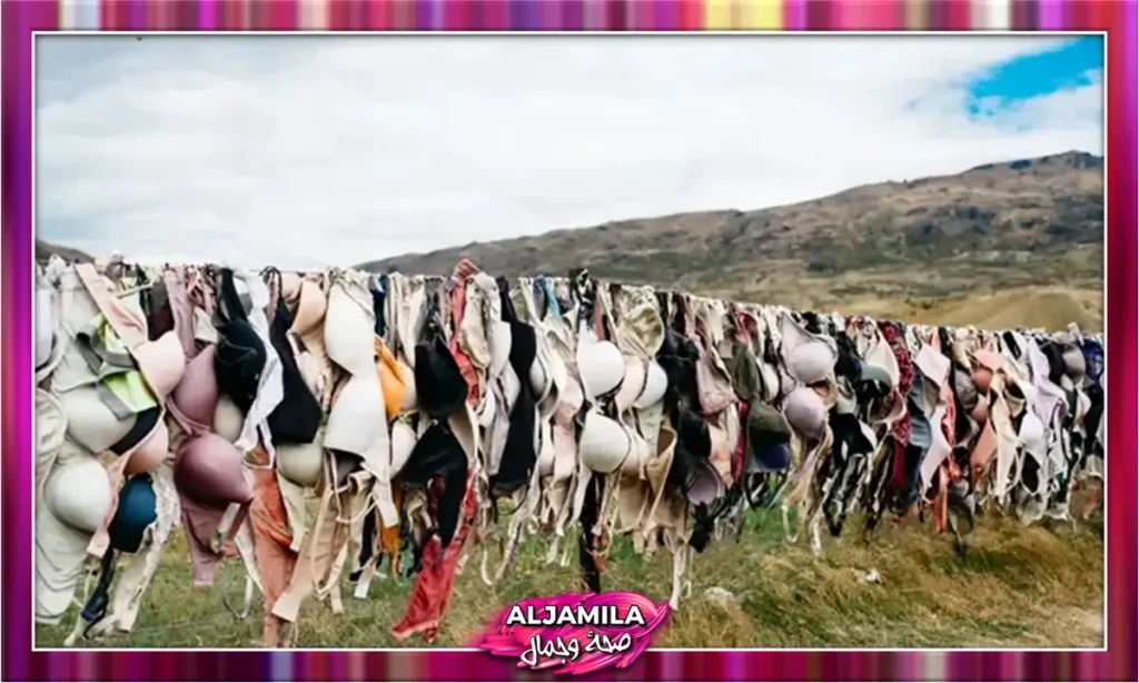 هل ارتداء حمالة صدر مناسبة يساعد في تكبير الصدر