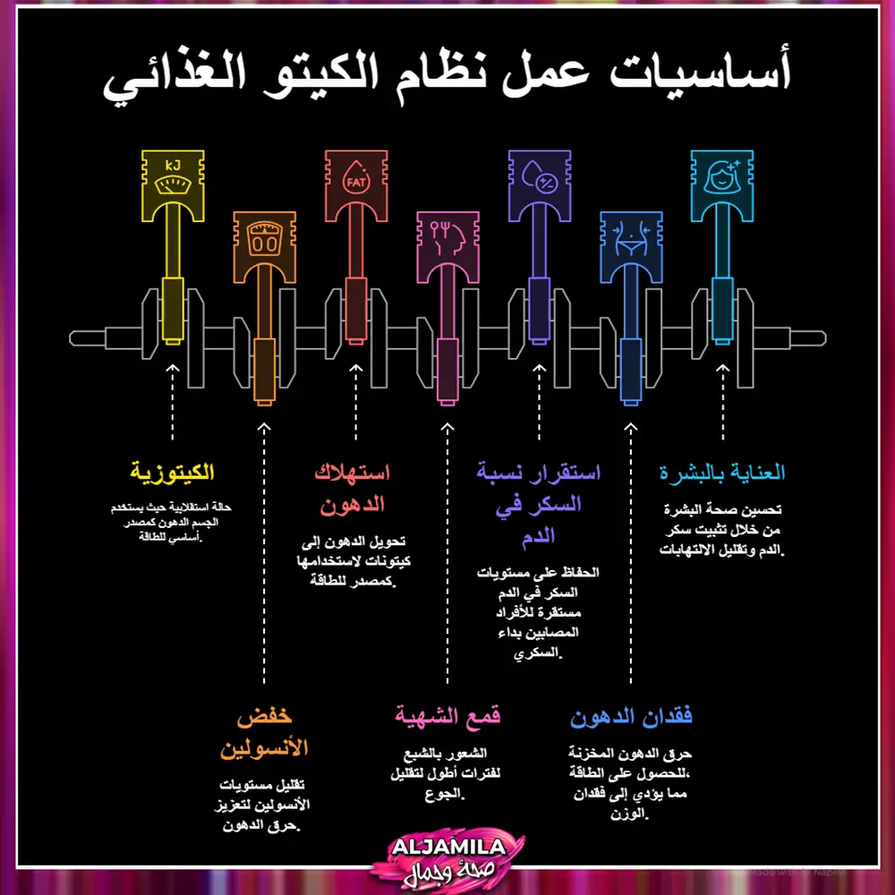 أساسيات عمل (Ketogenic Diet)