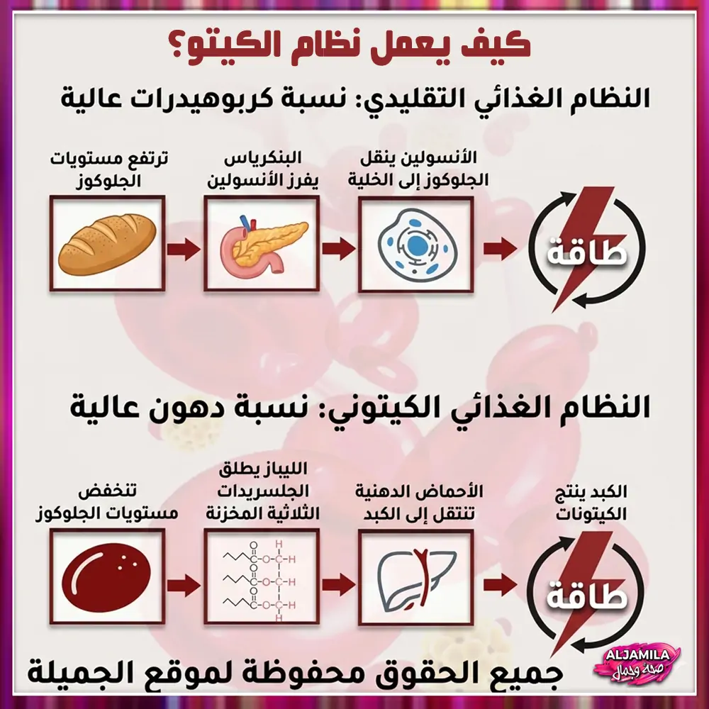 كيف يعمل نظام الكيتو الغذائي